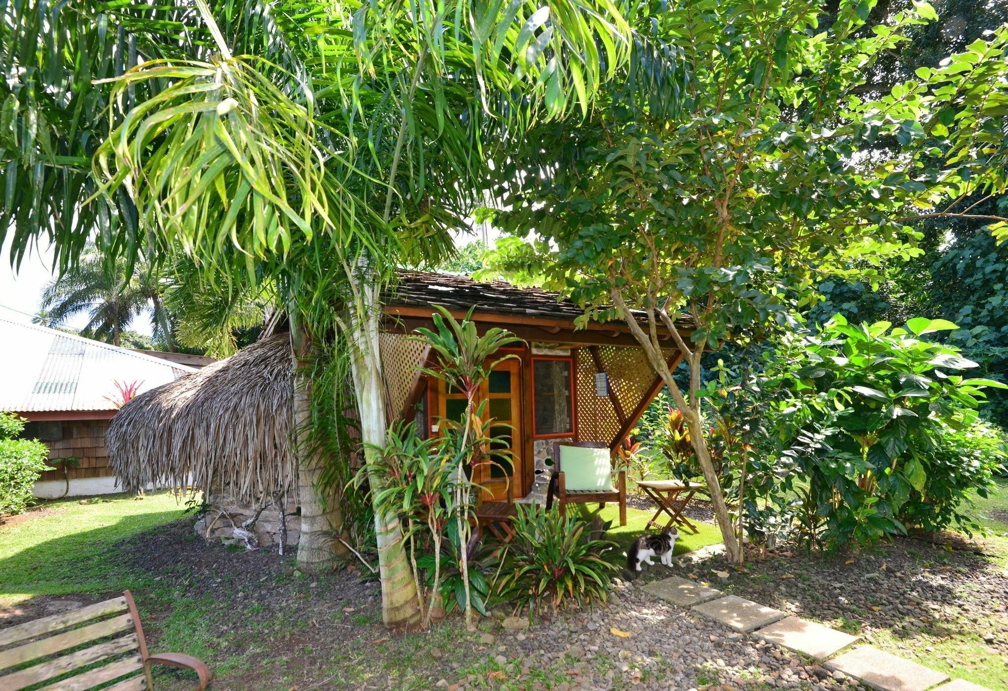 Mark'S Place Moorea Exterior photo